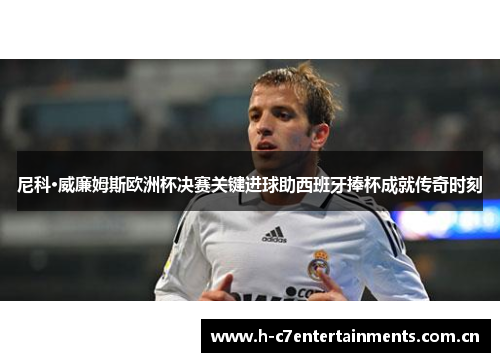 尼科·威廉姆斯欧洲杯决赛关键进球助西班牙捧杯成就传奇时刻